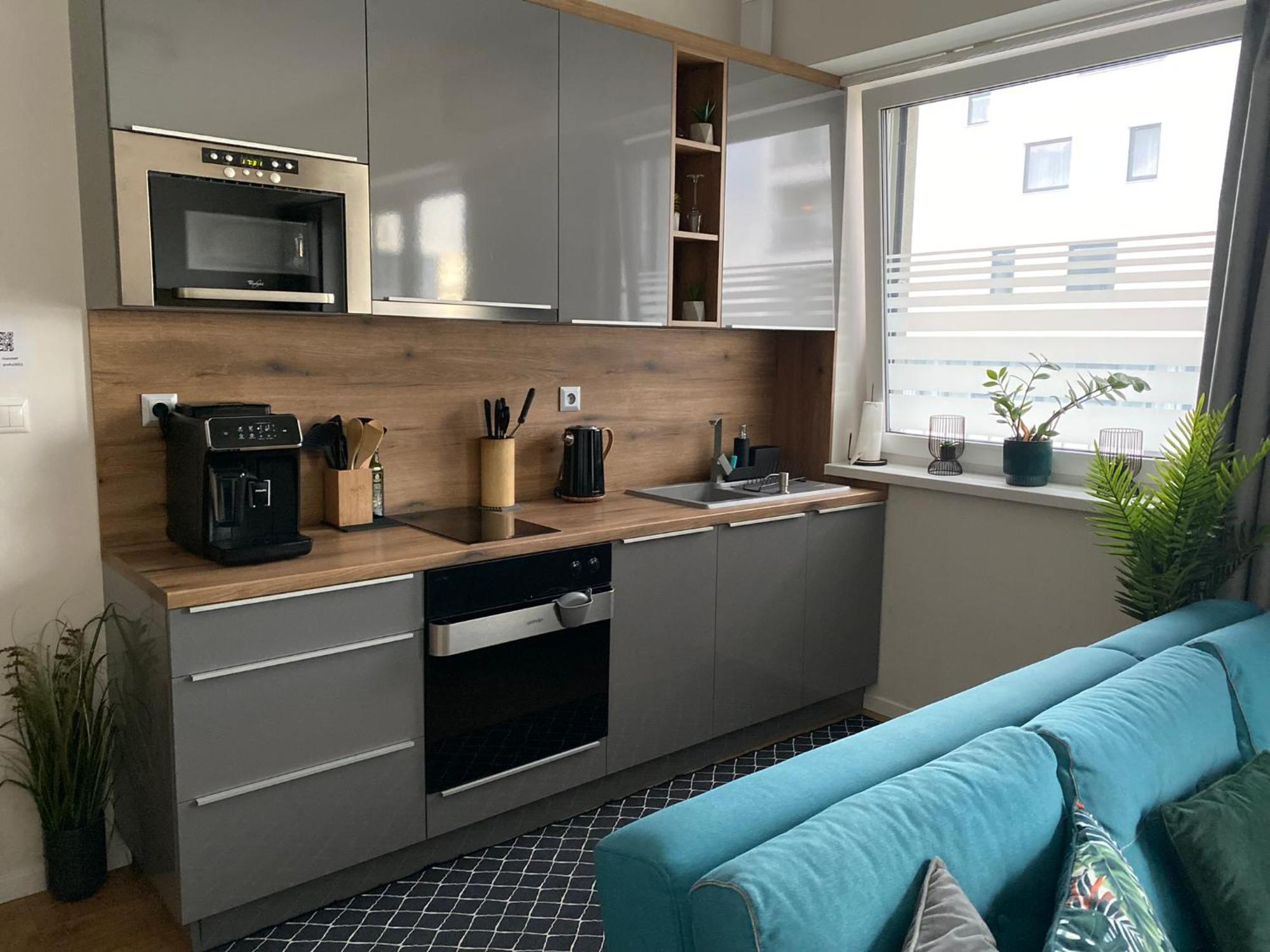 Apartment Mala Praha & Parking In The Garage 日利纳 外观 照片